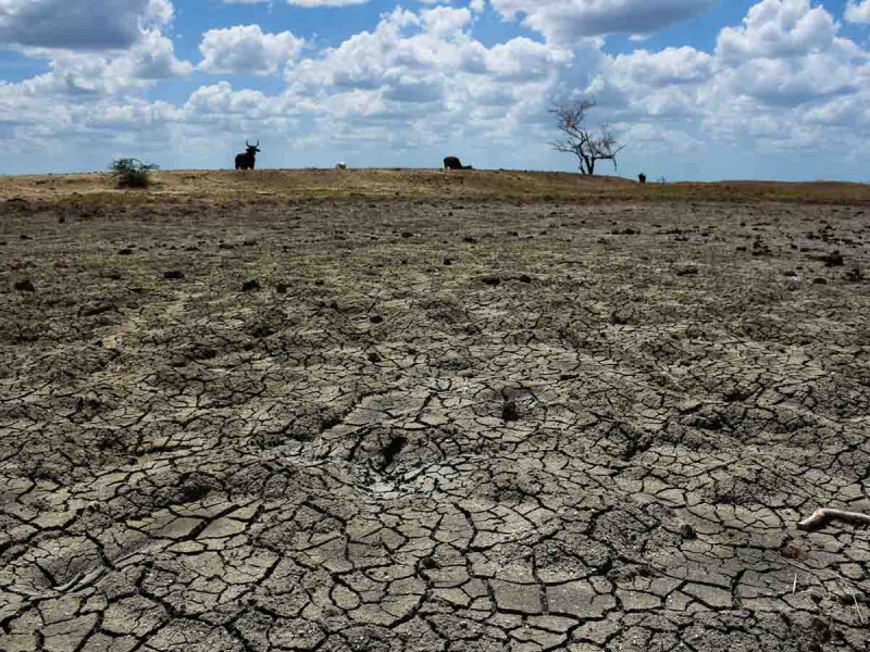 Advertencia de sequía: la presa iniciará un déficit del 25% en 2024, el peor registrado
