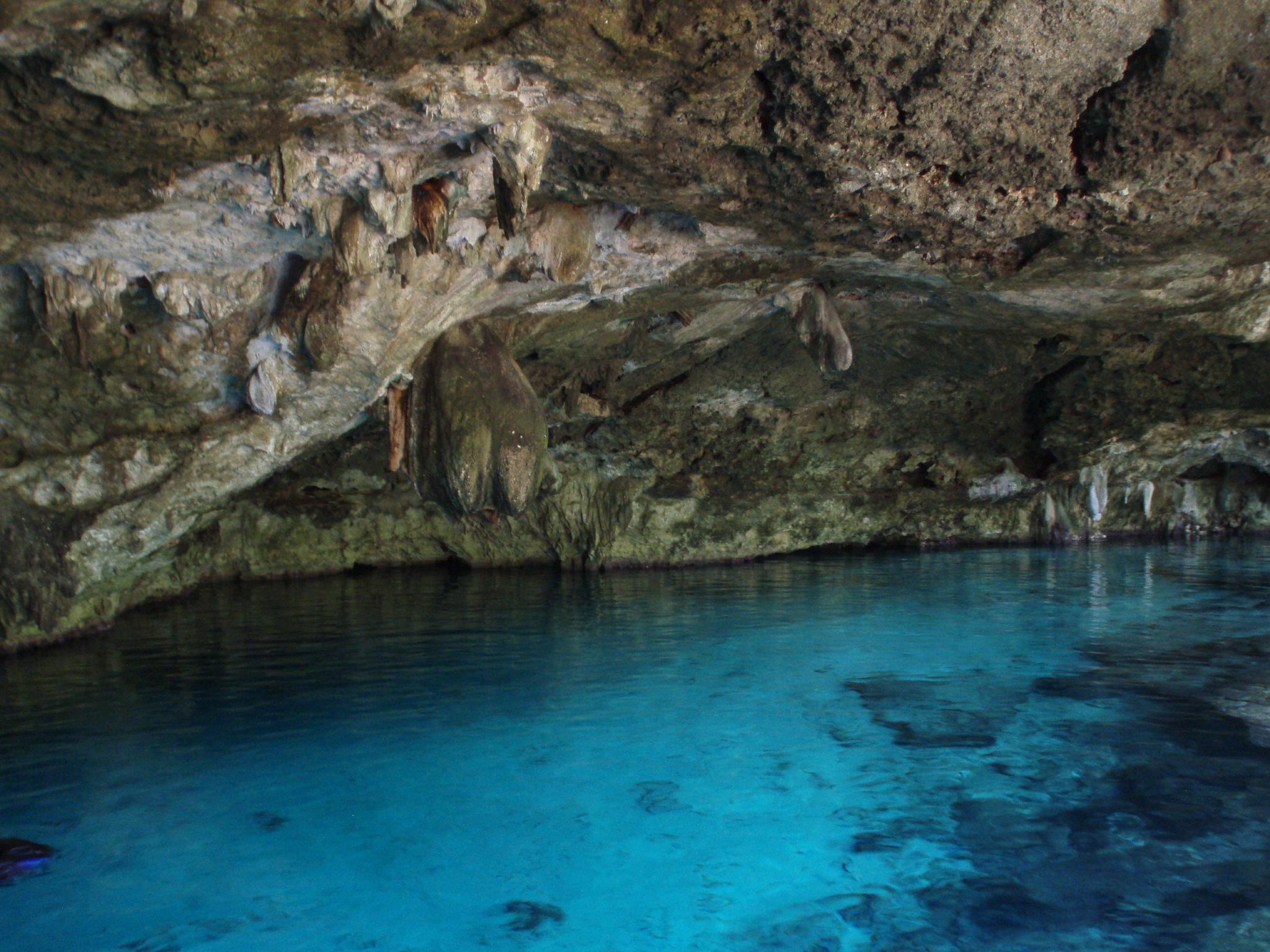 Explora la magia del Cenote Dos Ojos: Una joya escondida en el corazón de la Riviera Maya