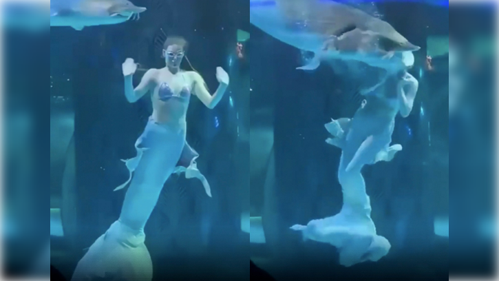 Pez gigante ataca a «sirena» durante show en acuario | VIDEO